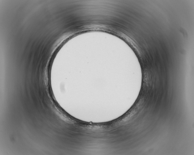 X0000111351082200908211229