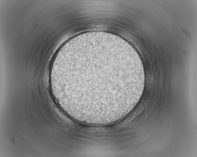 X0000111351083200908211229