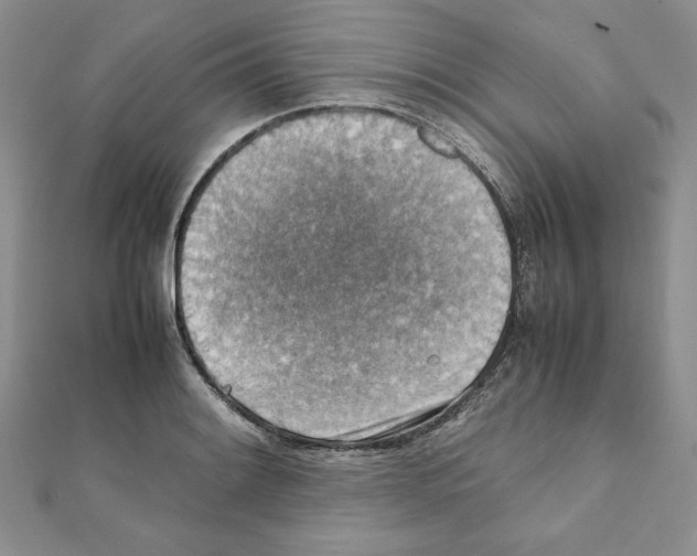 X0000111351084200908211229