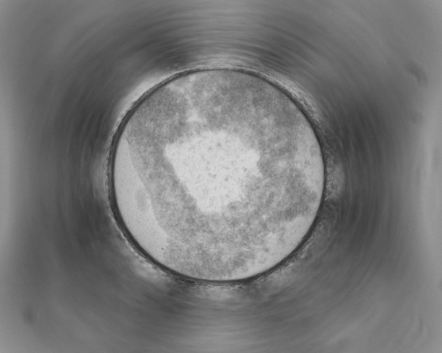 X0000111351086200908211229