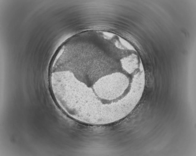 X0000111351087200908211229