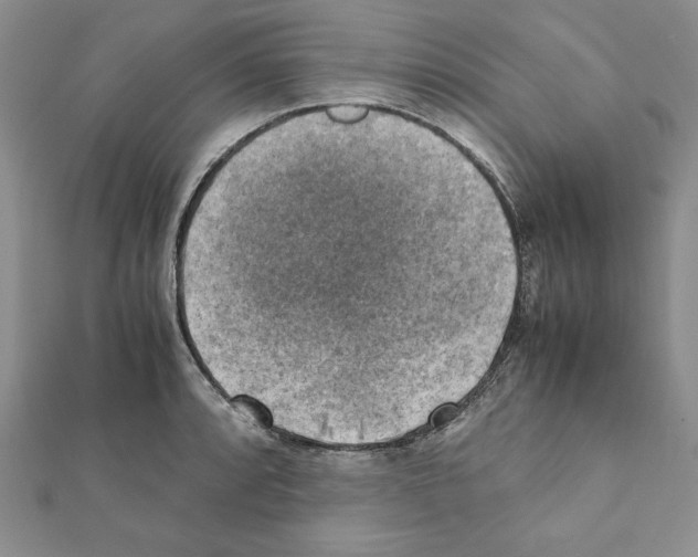 X0000111351088200908211229