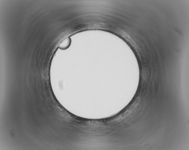X0000111351089200908211229