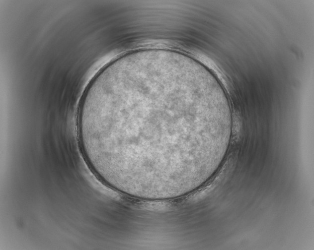 X0000111351090200908211229