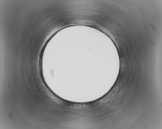 X0000111351091200908211229