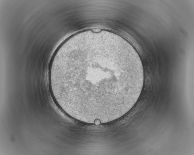 X0000111351092200908211229