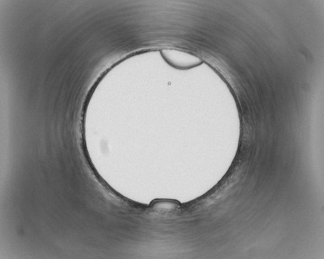 X0000111351093200908211229