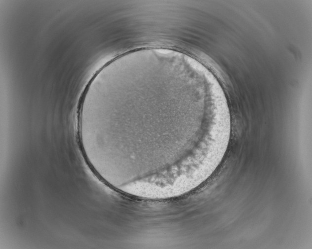 X0000111351095200908211229