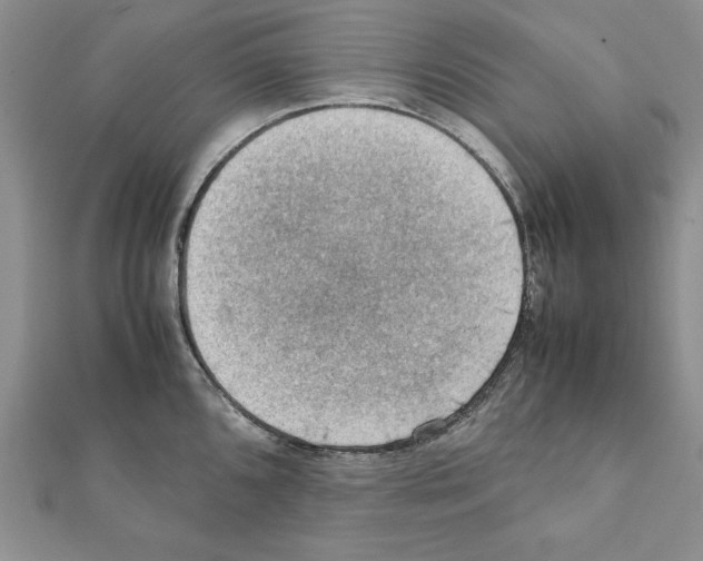 X0000111351096200908211229