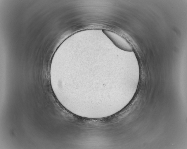 X0000111351097200908211229