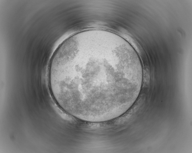 X0000111351098200908211229