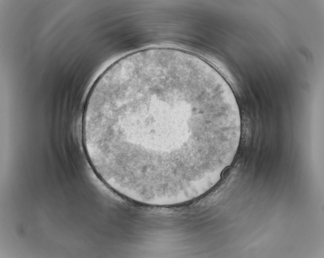 X0000111351100200908211229