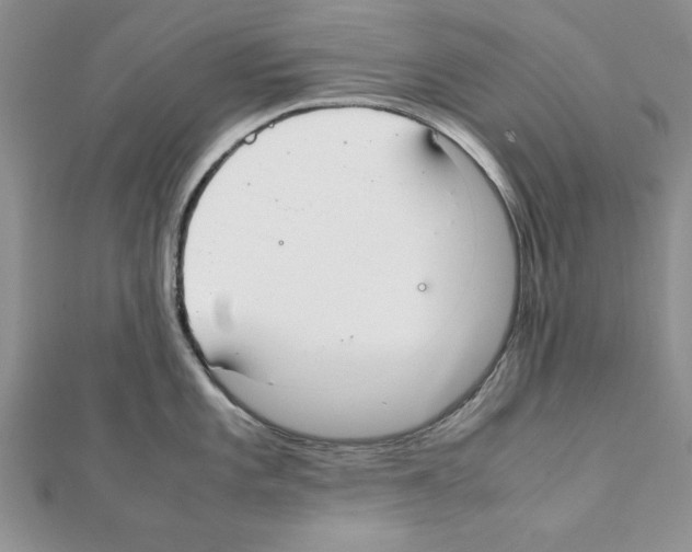 X0000111351101200908211229