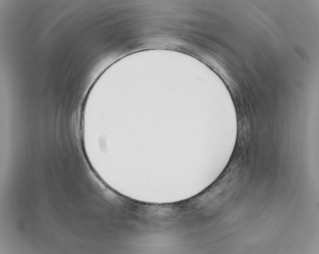 X0000111351103200908211229