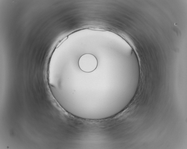 X0000111351104200908211229