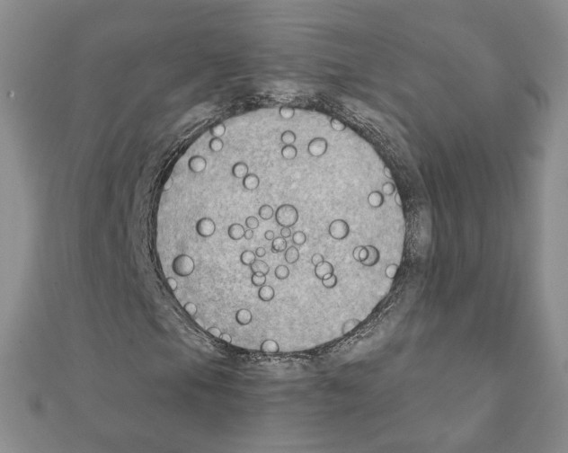 X0000111351105200908211228