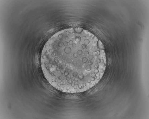 X0000111351106200908211228