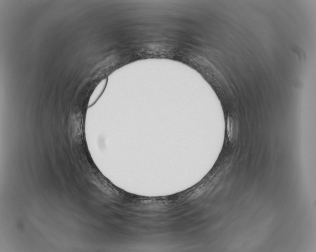 X0000111351107200908211228