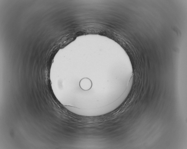X0000111351108200908211228