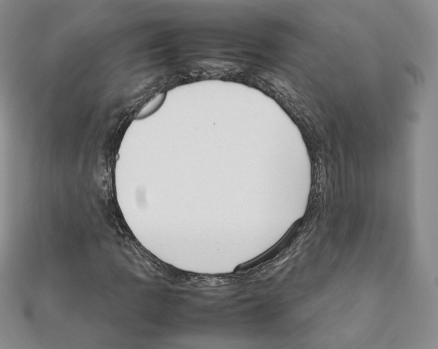 X0000111351109200908211228