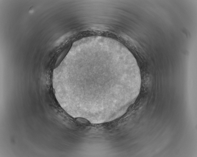 X0000111351110200908211228