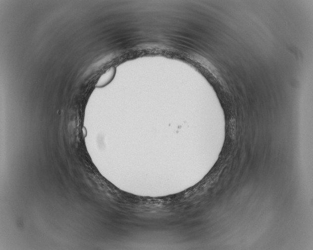 X0000111351111200908211228