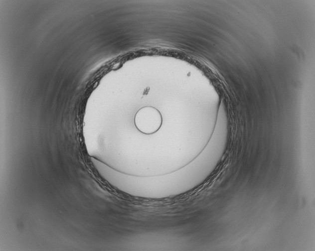 X0000111351112200908211228