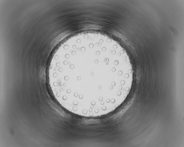X0000111351113200908211228