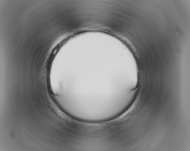 X0000111351114200908211228