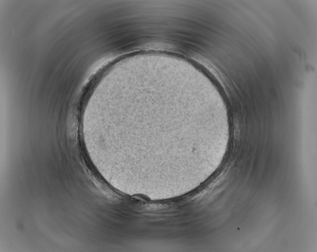 X0000111351115200908211228