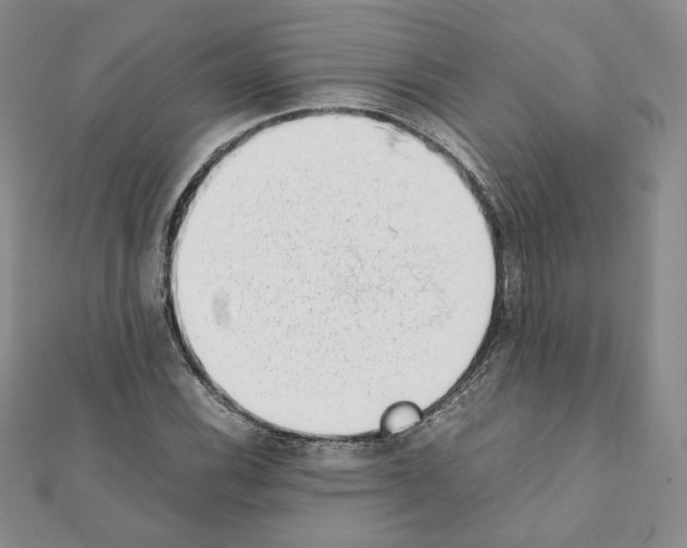 X0000111351116200908211228