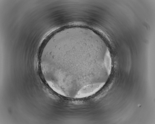 X0000111351117200908211228