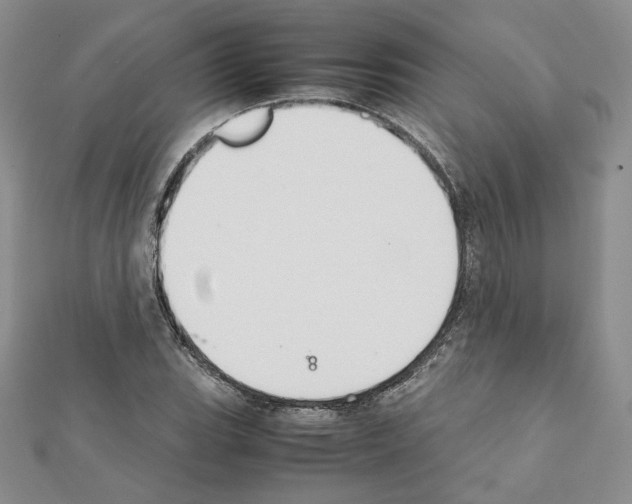 X0000111351119200908211228