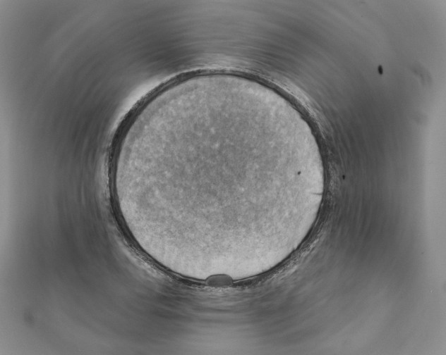 X0000111351120200908211228