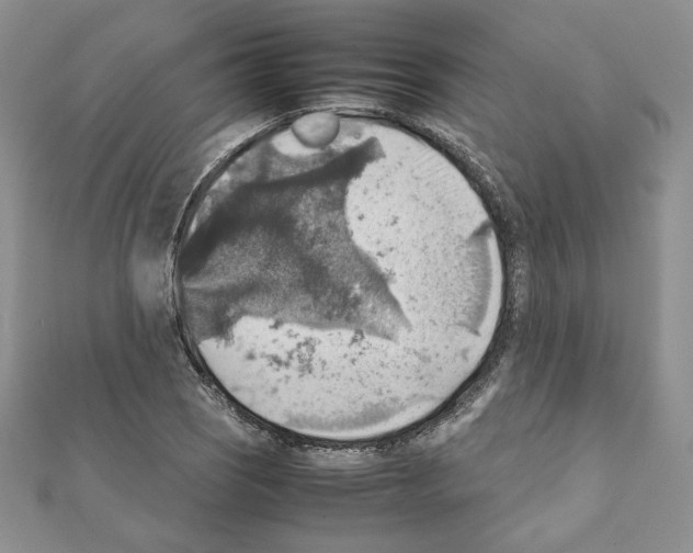 X0000111351121200908211228