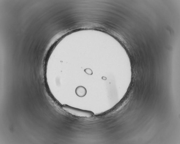 X0000111351122200908211228