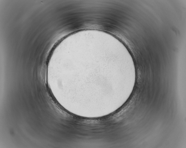 X0000111351123200908211228