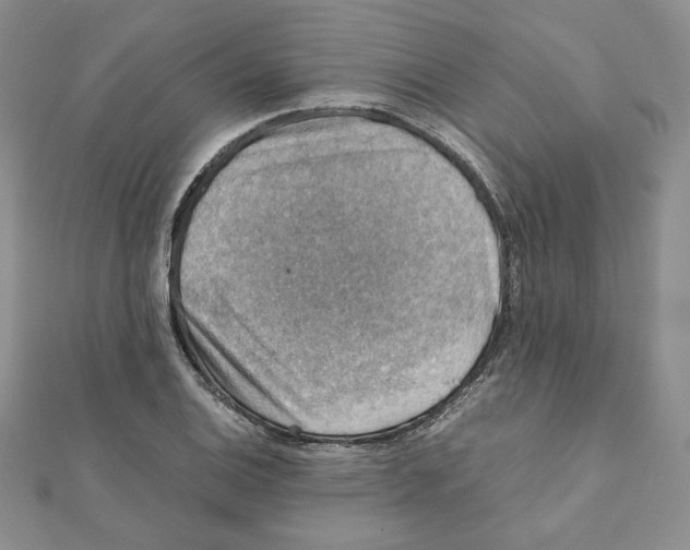 X0000111351124200908211228