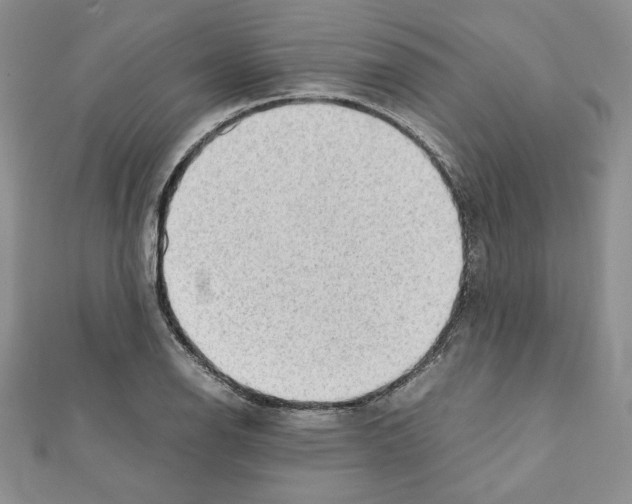 X0000111351126200908211228