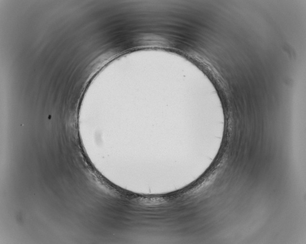 X0000111351129200908211228