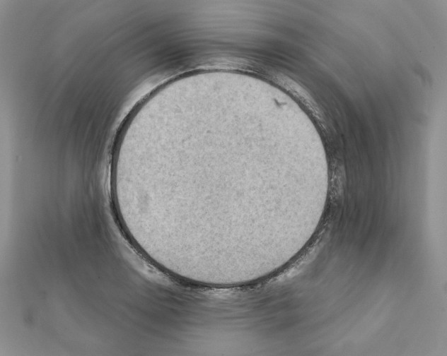 X0000111351130200908211228