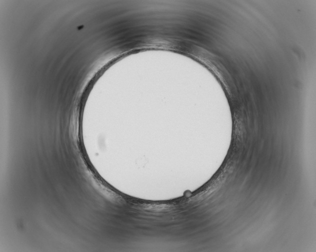 X0000111351131200908211228