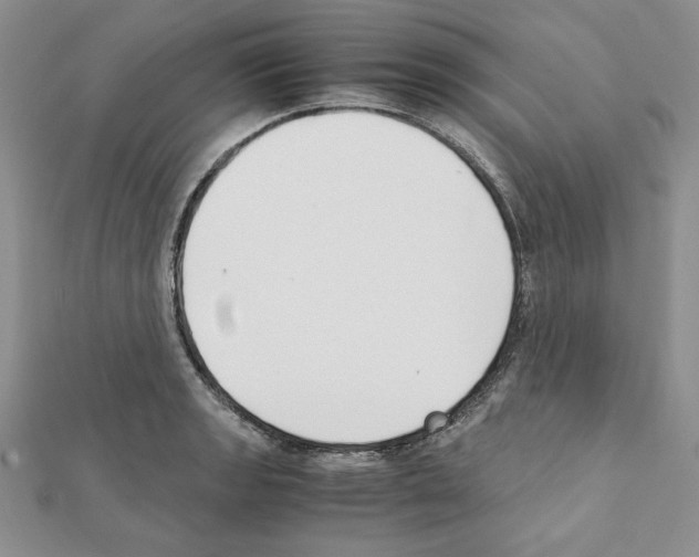 X0000111351133200908211228