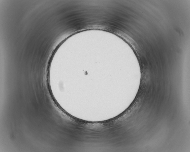 X0000111351135200908211228
