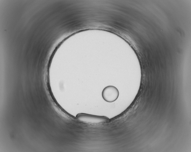X0000111351136200908211228