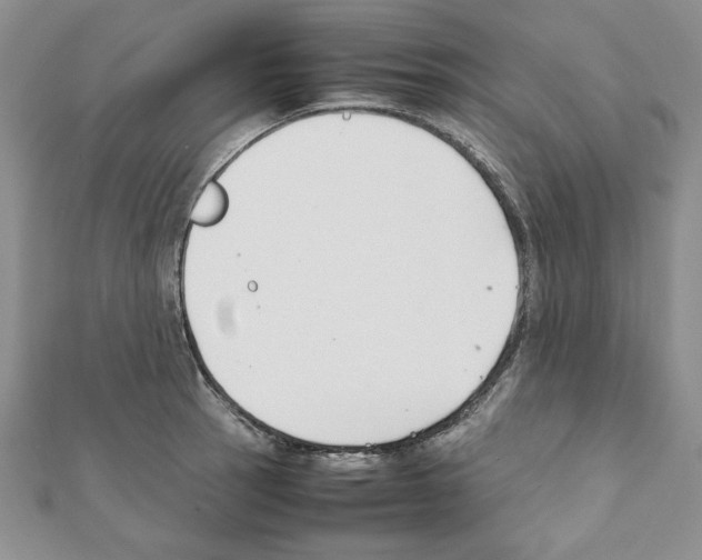 X0000111351137200908211229