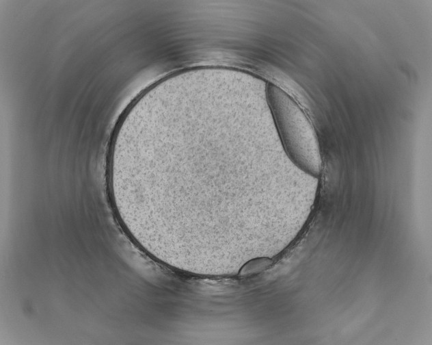 X0000111351138200908211229