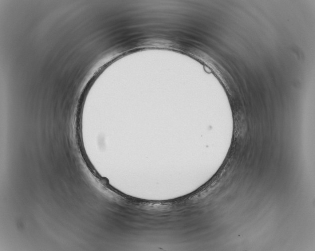 X0000111351139200908211229