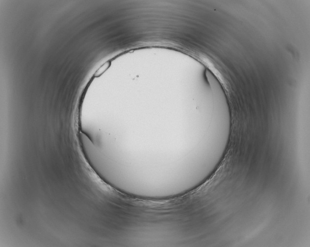 X0000111351140200908211229