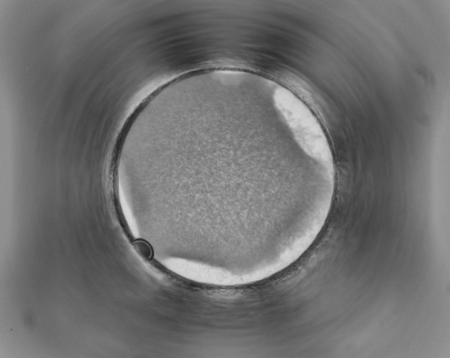 X0000111351141200908211229